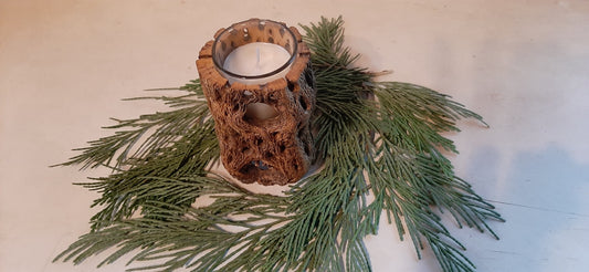 Cholla Cactus Candle Holder/Handcrafted Natural Cholla Cactus
