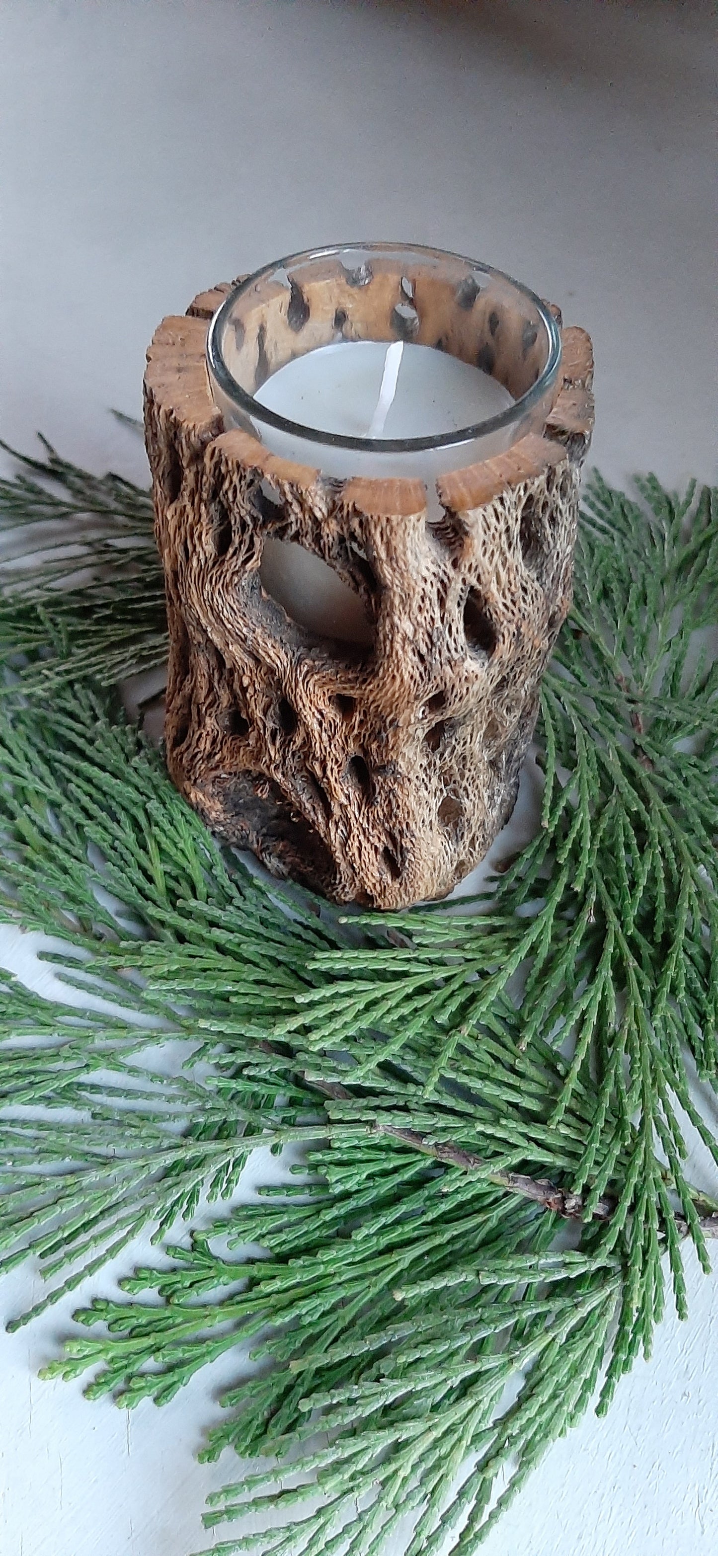 Cholla Cactus Candle Holder/Handcrafted Natural Cholla Cactus
