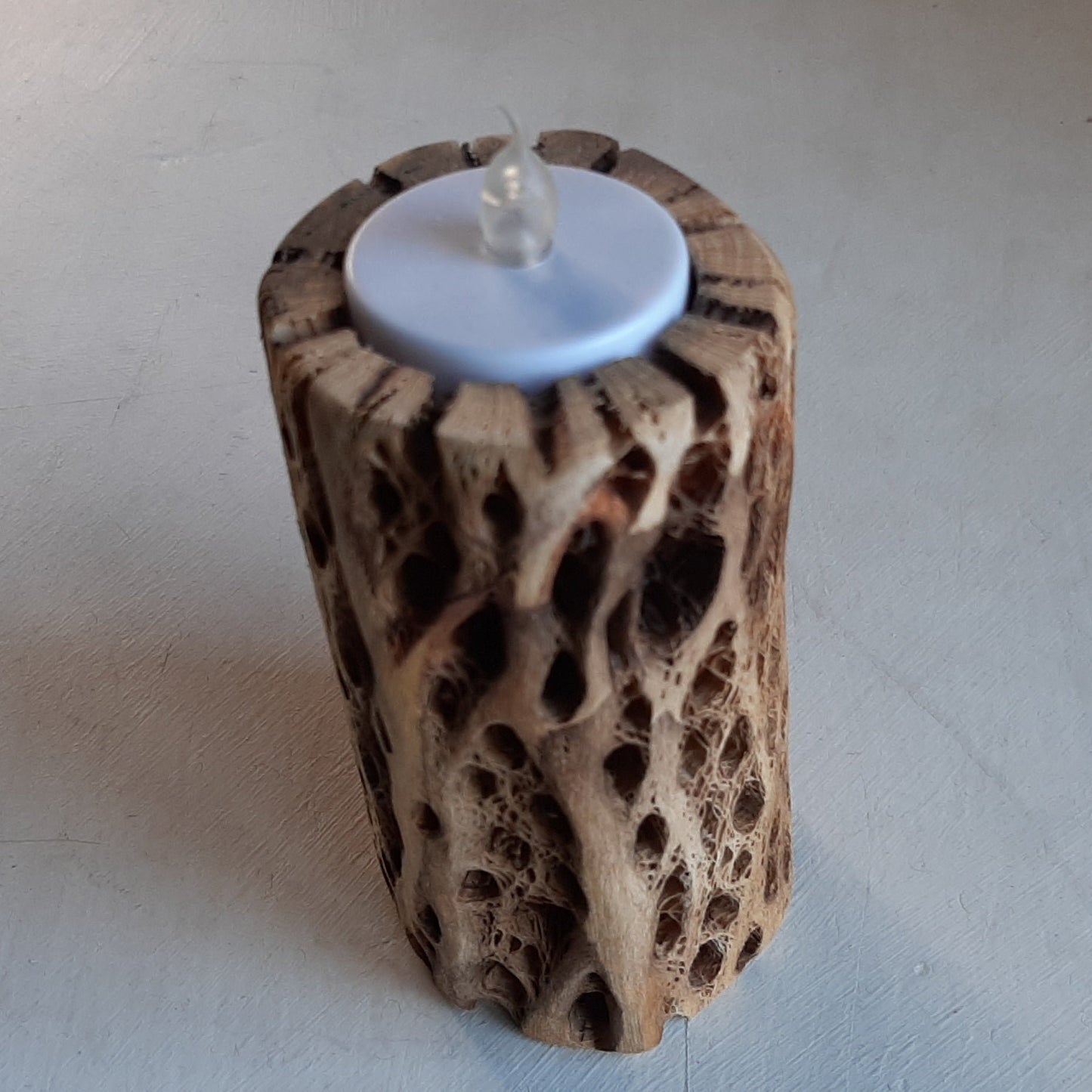 Cholla Cactus Candle Holder/Handcrafted Southwestern Cholla Cactus