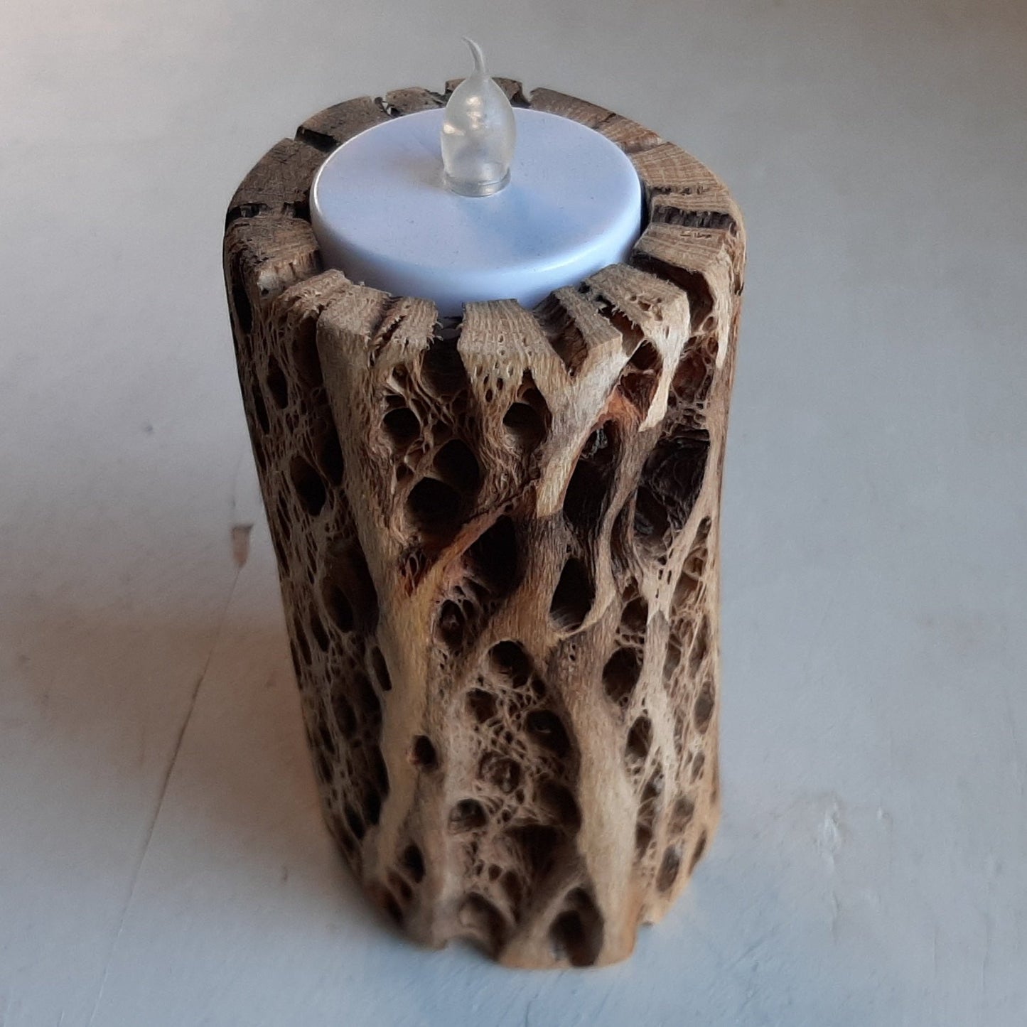 Cholla Cactus Candle Holder/Handcrafted Southwestern Cholla Cactus