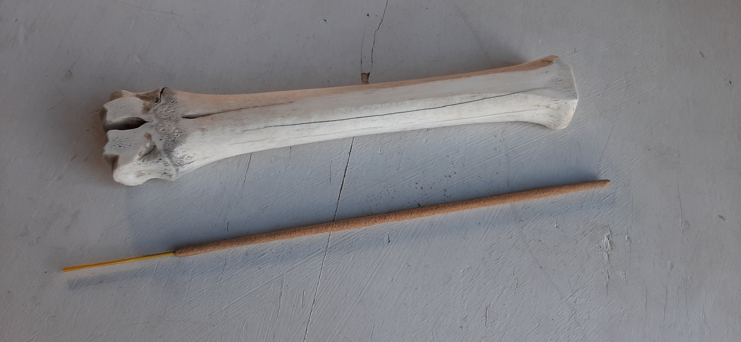 Bone Incense Holder/Naturally bleached Deer Bone incense holder